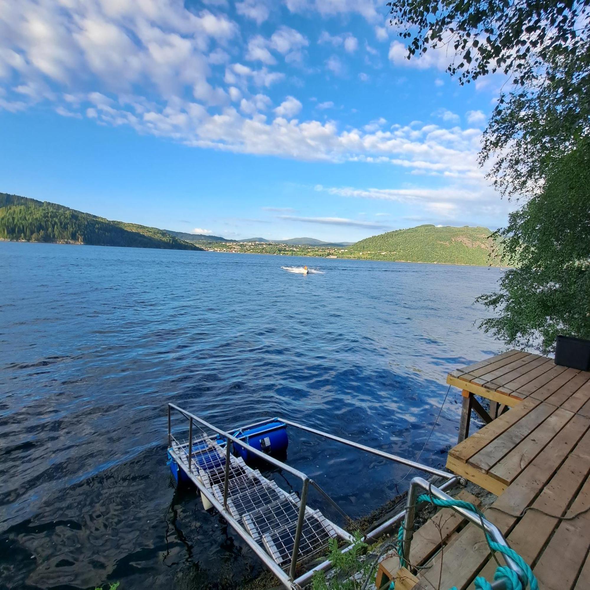 Bergen Sunrise Terrace Apartment エクステリア 写真